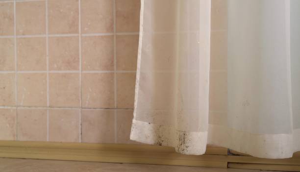 Best Biohazard Mold Removal  in Cliffside Park, NJ