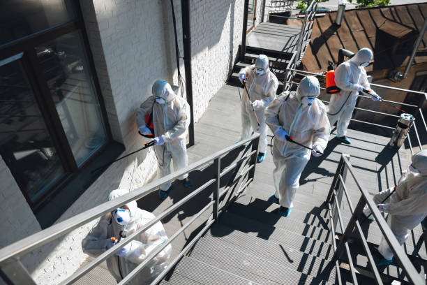 Mold Remediation for Vacation Homes in Cliffside Park, NJ