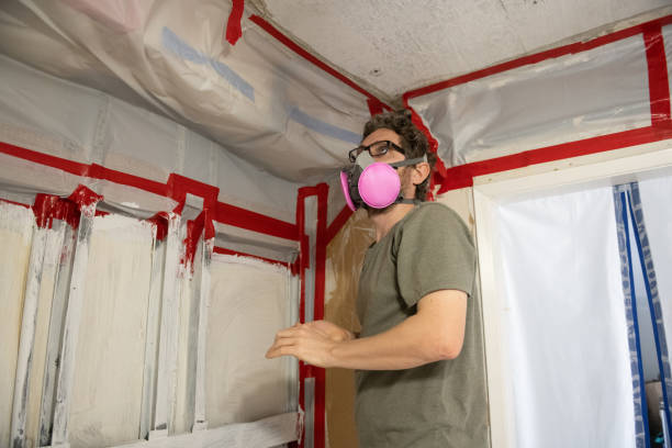 Best Mold Prevention Services  in Cliffside Park, NJ